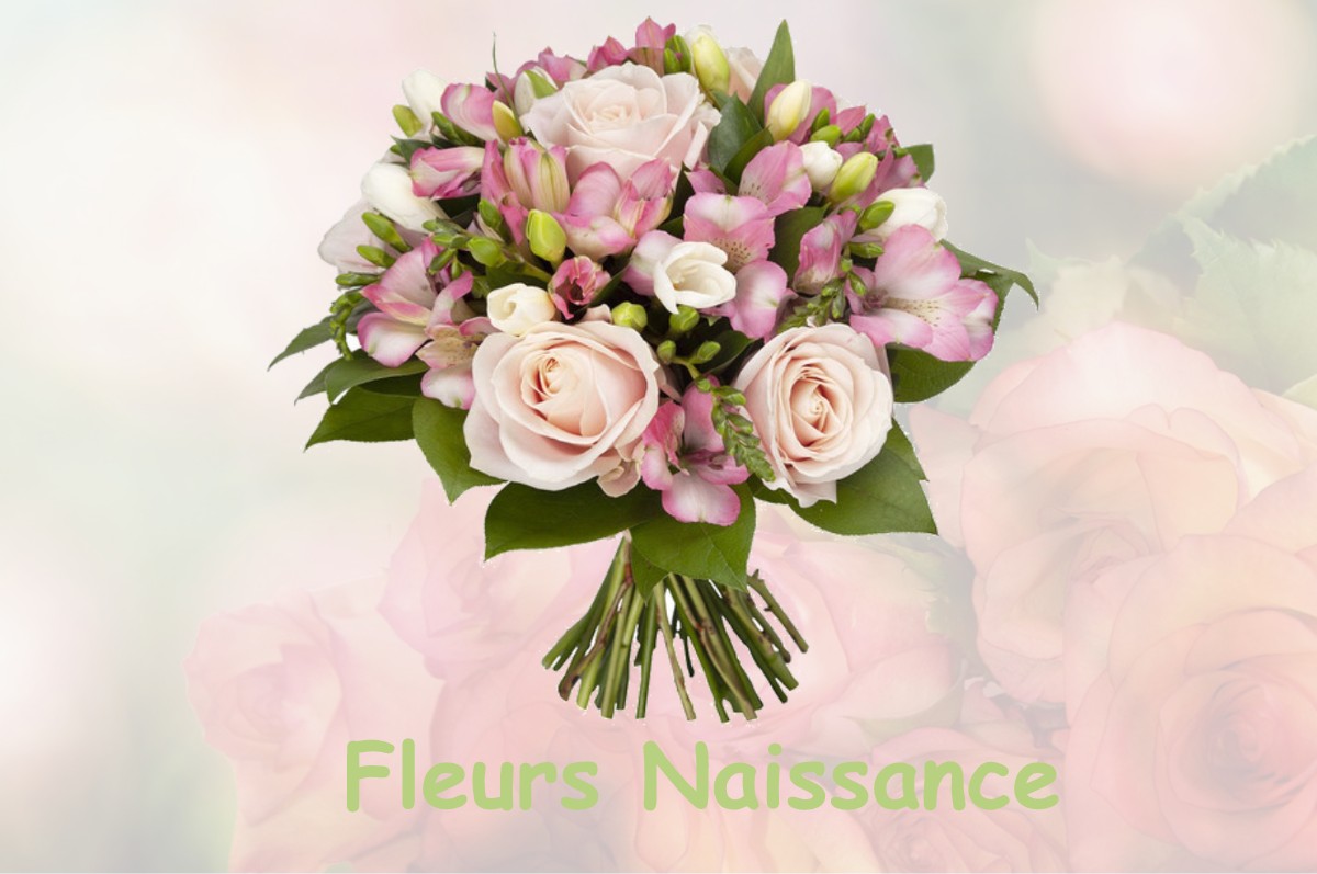 fleurs naissance SAINT-LEGER-AUX-BOIS