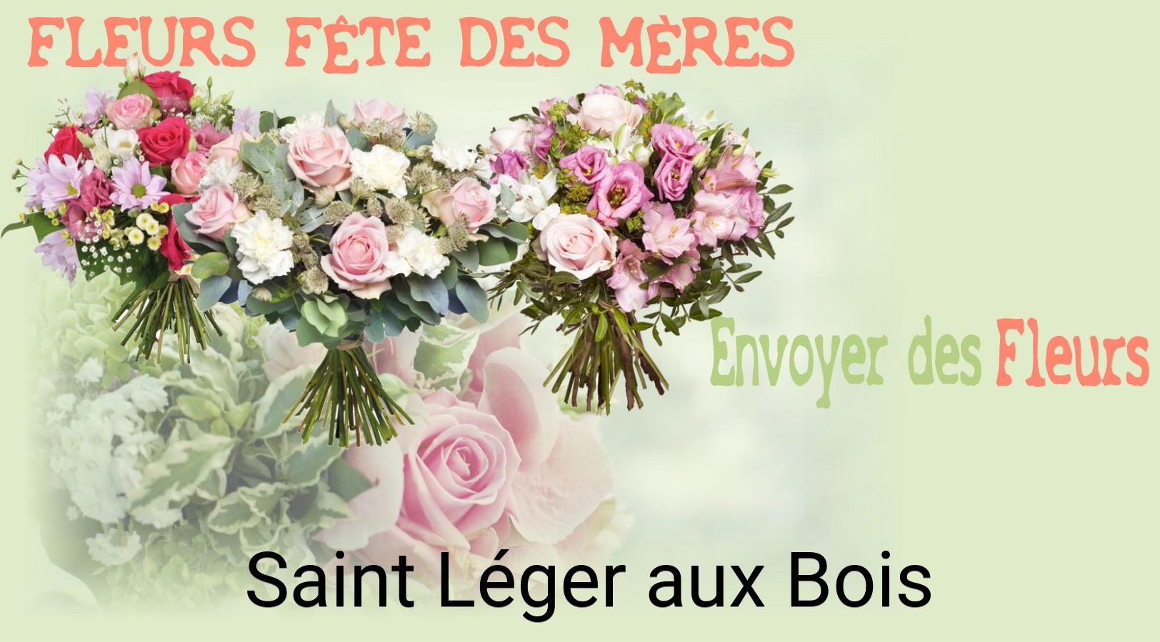 Bouquet de Fête des Mères livré à Saint-Léger-aux-Bois